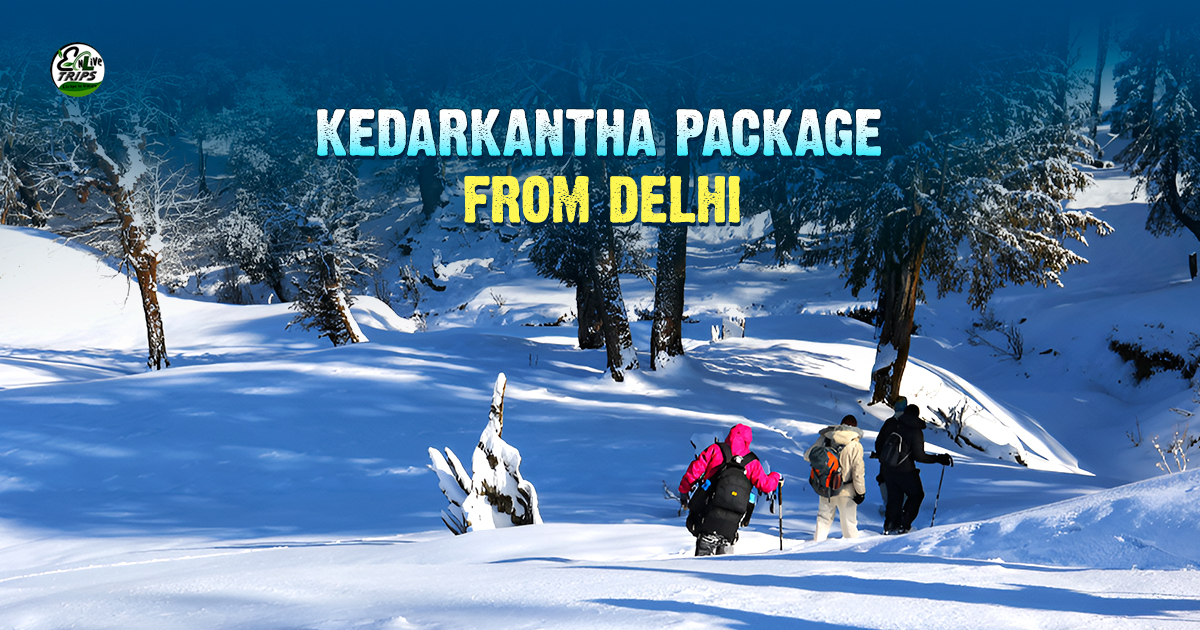 kedarkantha trek packages